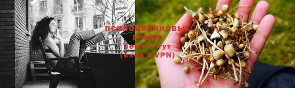 ешки Алексин