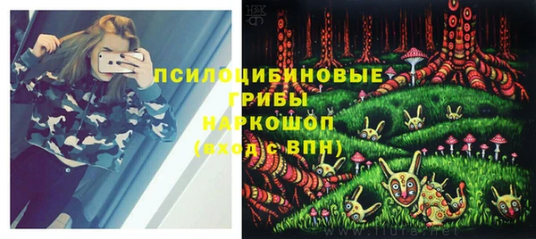 эйфоретик Пересвет