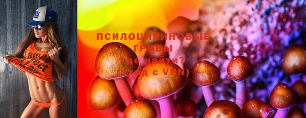 ешки Алексин