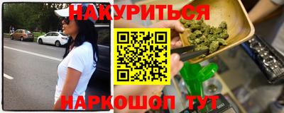 СК Бийск