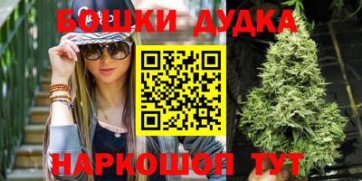 СК Бийск