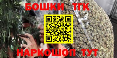 СК Бийск