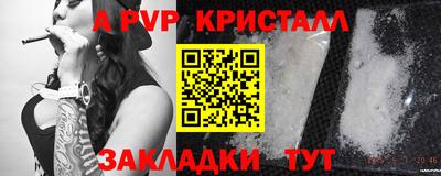 СК Бийск