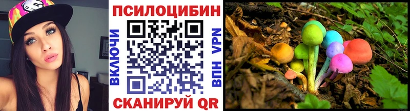 Псилоцибиновые грибы GOLDEN TEACHER  kraken ССЫЛКА  Аргун  цены  