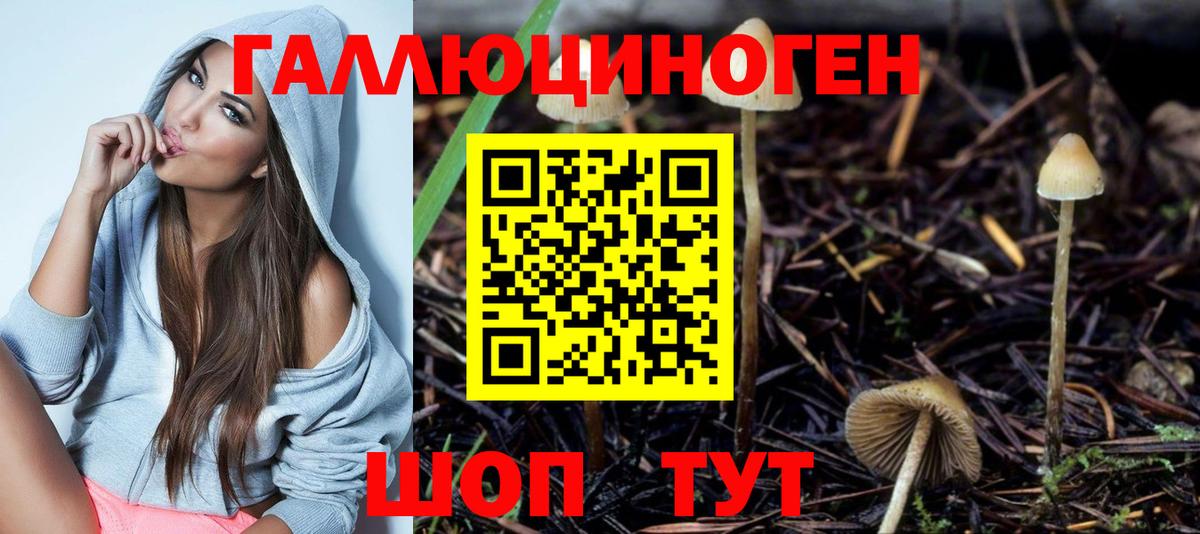 Псилоцибиновые грибы GOLDEN TEACHER Аргун